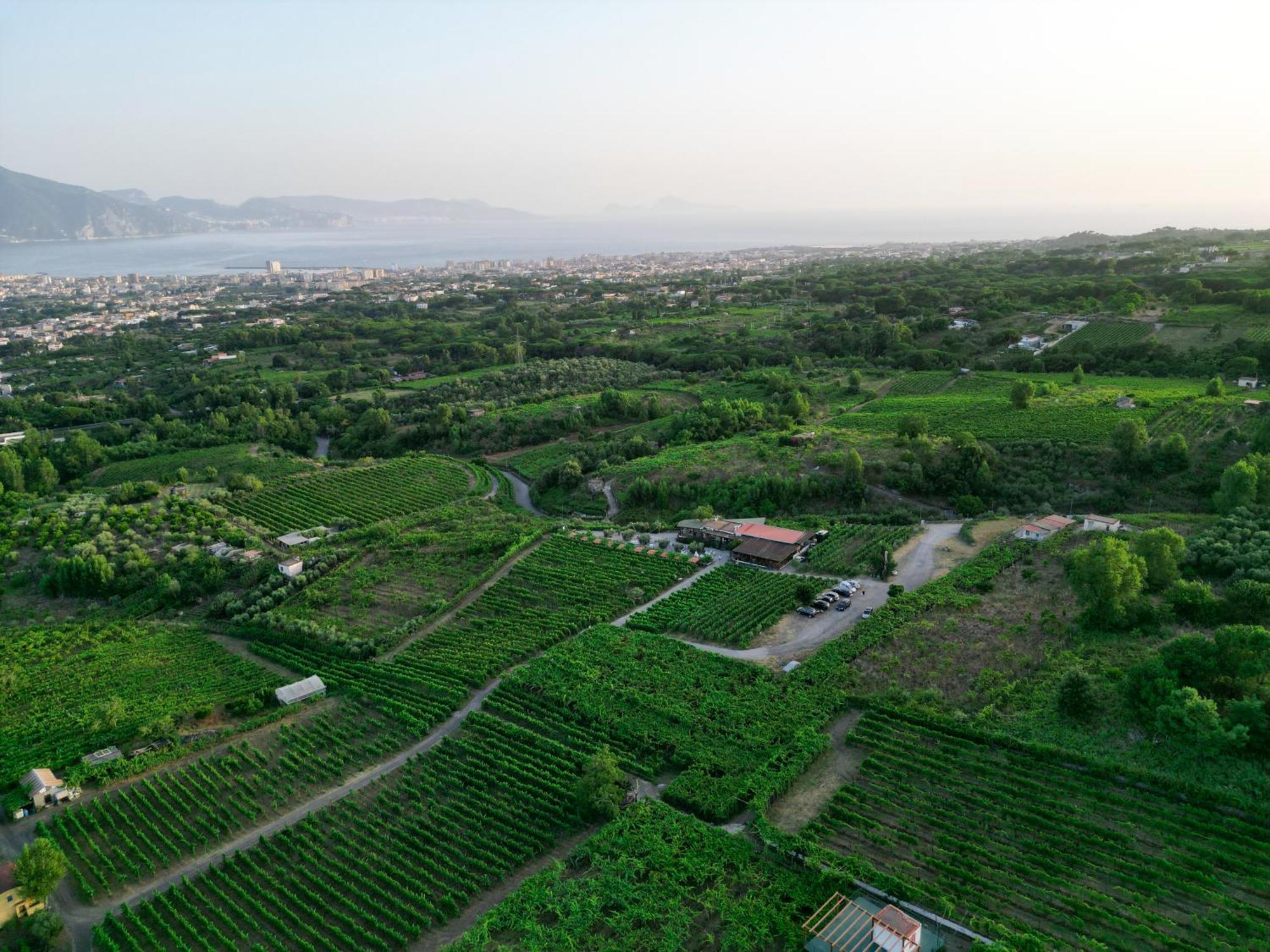 Vesuvio Inn Bed & Wine Experience Boscotrecase Eksteriør bilde
