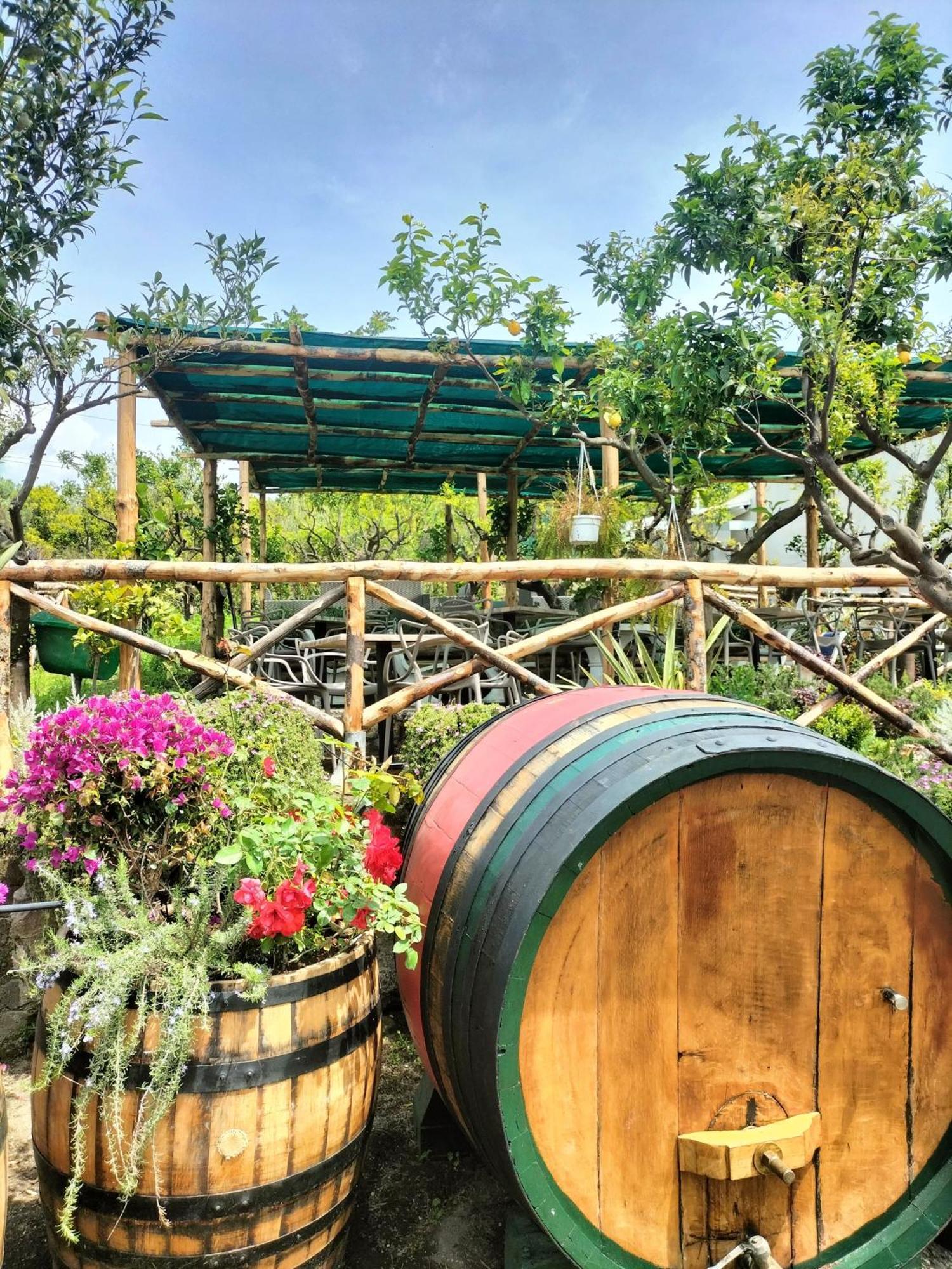 Vesuvio Inn Bed & Wine Experience Boscotrecase Eksteriør bilde